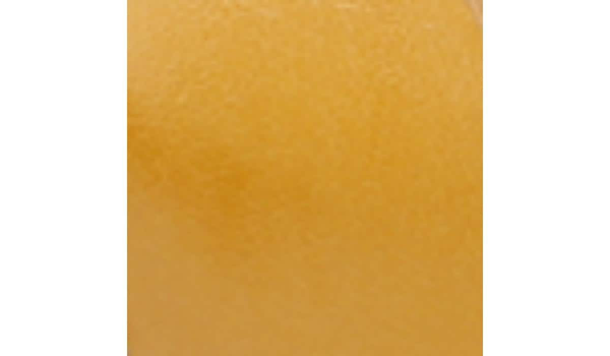Franco Sarto Popular | Franco Daven Gladiator Sandal