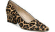 Camel Calf Hair